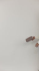 Blush Essentials Kit